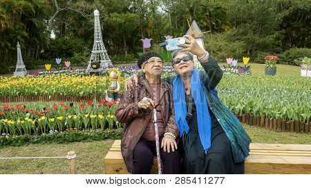 2019 Shilin Official Residence Tulip Exhibition, Taipei, Taiwan