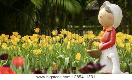 2019 Shilin Official Residence Tulip Exhibition, Taipei, Taiwan