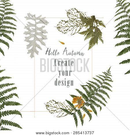 Wedding Invite Invitation Card Floral Greenery Design Forest Fern Frond, Eucalyptus Branch Green Lea