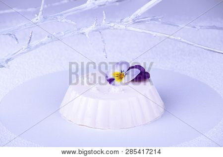 Panna Cotta Of White Cocolate And Wipped Cream Decorated With Edible Violet Flower Over On White Bac