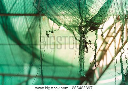 The Old Green Sun Protection Mesh And Lack. Can Not Prevent Sunlight.