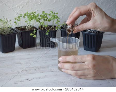 Liquid Fertilizer For Seedlings. Plant Breeding. Spring Care Of Plants. Growth Energy For Plants.