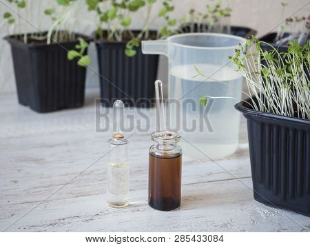 Liquid Fertilizer For Seedlings. Plant Breeding. Spring Care Of Plants. Growth Energy For Plants.