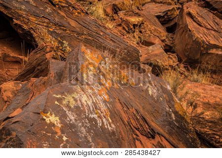 Some Aboriginal Cave Paintings At The Talampaya National Park.