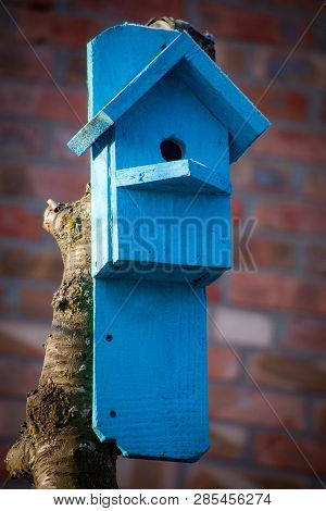Birdhouse Wooden Copyspace Birds Home Tree Birdbox . A House For Feeding Birds And For Arranging Bir