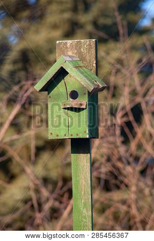 Birdhouse Wooden Copyspace Birds Home Tree Birdbox . A House For Feeding Birds And For Arranging Bir