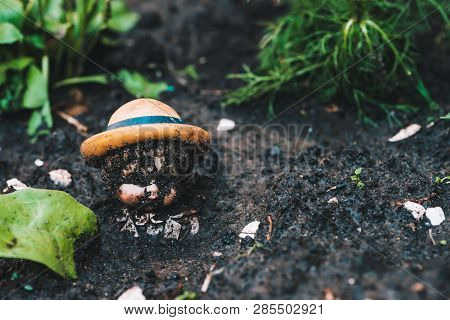 Dirty Doll In Soil Near Plants And Trash. Old Thrown Soiled Toy Buried In Ground. Sad Pessimistic St
