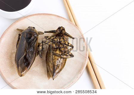 Giant Water Bug Is Edible Insect For Eating As Food Insects Deep-fried Crispy Snack On Plate And Sau