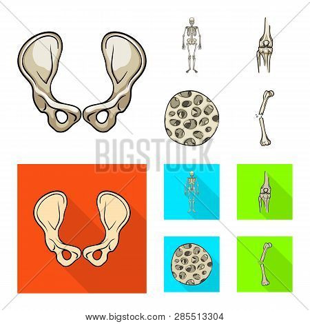 Vector Design Of Medicine And Clinic Symbol. Set Of Medicine And Medical Stock Vector Illustration.