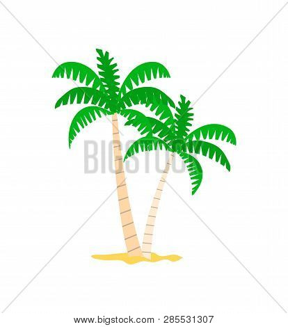 Palm Tree In Sand, Green Foliage On Top And Stems In Stripes. Papercard With Hawaiian Wood, Summer C