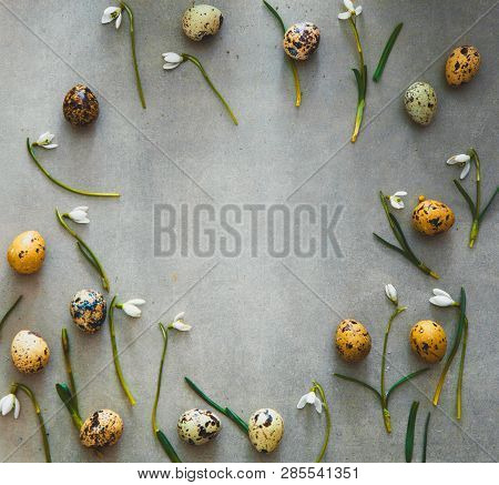 Easter Background With Quail Eggs And Snowdrop Flowers. Spring Background. Overhead Flatlay Easter