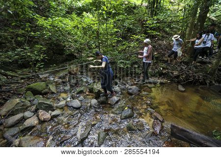 Royal Belum State Park