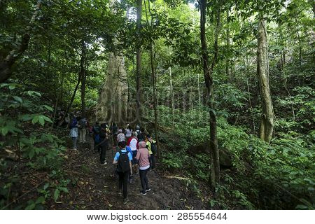 Royal Belum State Park