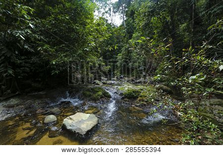 Royal Belum State Park