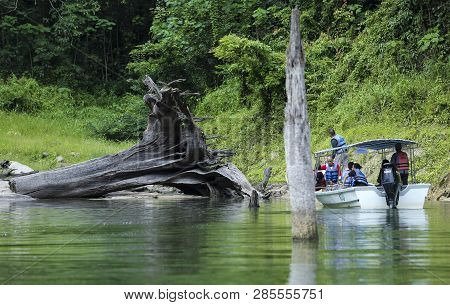 Royal Belum State Park