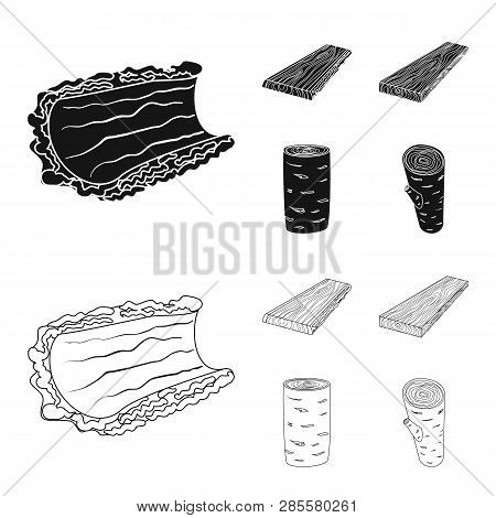 Vector Design Of Tree   And Raw  Icon. Set Of Tree   And Construction Vector Icon For Stock.