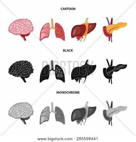 Vector Illustration Of Biology And Scientific Sign. Set Of Biology And Laboratory Stock Vector Illus