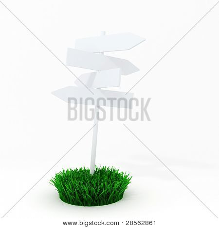 3d blank board on a patch of green fresh grass
