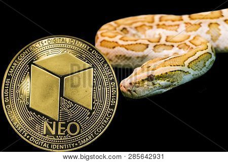 Concept Yellow Snake And Coin Cryptocurrency Neo.