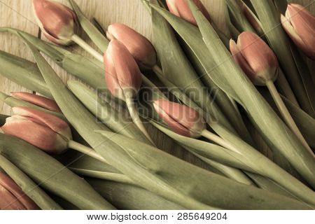 Spring Bouquet Of Flowers Of Pink Tulips On Wooden