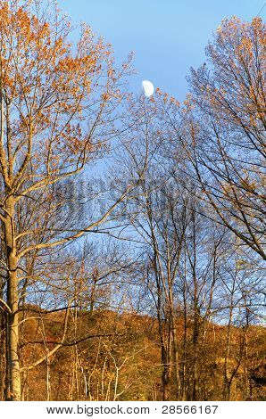 Tidligt månen Sun indstilling