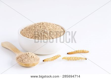 Bamboo Worm Powder. Bamboo Caterpillar Flour For Insects Eating As Food Edible Items Made Of Cooked 