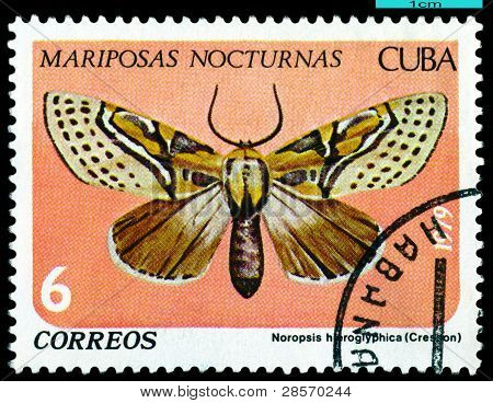 Jahrgang Briefmarke. Schmetterling. Noropsis Hieroglyphica.