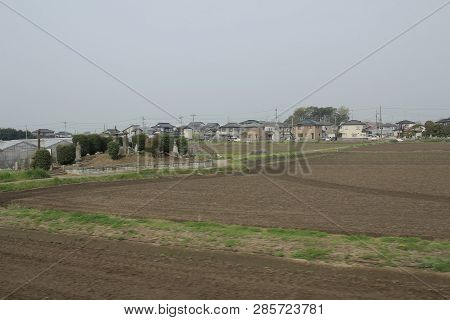 View Of The Feild  By Train