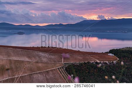 Sunset Over The Peninsula Peljesac And Vineyard 2