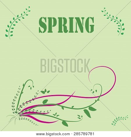 Spring Flower Background - Composition. Spring Flower Composition