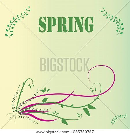 Spring Flower Background - Composition. Spring Flower Composition