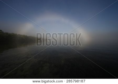 Bright Fogbow In Bear Cut Off Key Biscayne, Florida, With Great Egrets, Ardea Alba, Wading Beneath.