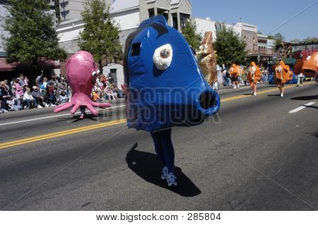 Pesce azzurro Parade