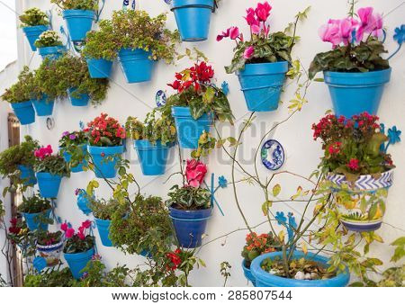 Typical Andalusian decoration with flowers and white walls, Iznajar, Andalusia, Spain