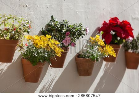 Typical Andalusian decoration with flowers and white walls, Iznajar, Andalusia, Spain