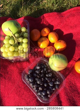 First Spring Pick Nick With Different Berries And Fruits