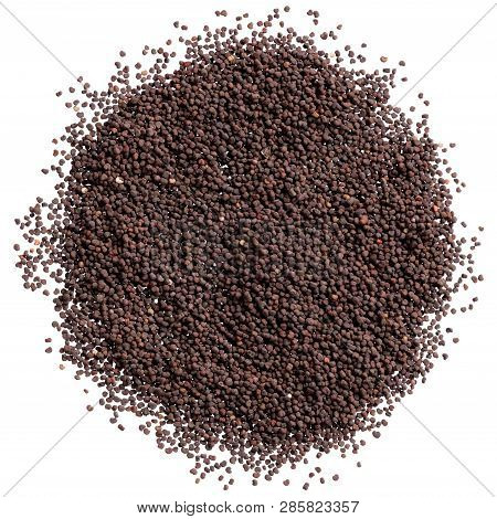 A Heap Of Quality Seeds Of Viscaria Vulgaris, For Your Adorable Garden. Can Be Used For Create New E