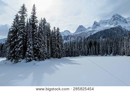 Incredible Snowy Views From Island Lake In Fernie, British Columbia, Canada.  The Majestic Winter Ba