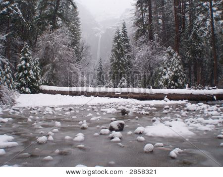 Yosemite parken i tåge og regn