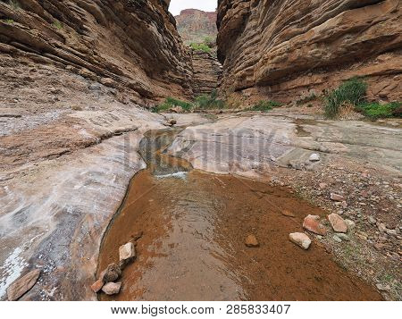Hermit Creek And The Hermit Trail In Grand Canyon National Park, Arizona.