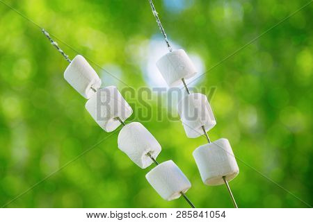 White Round Marshmallows On Sticks Roasting Over A Fire. Sticks With Marshmallows For A Picnic.