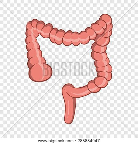 Intestine Icon In Cartoon Style Isolated On Background For Any Web Design