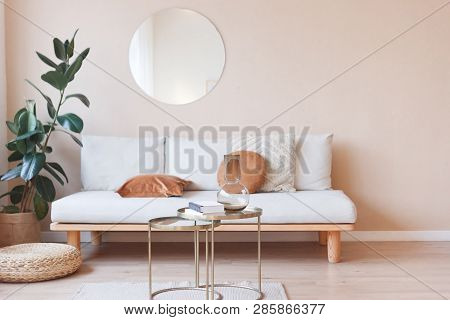 Living Room Nterior With Sofa, Mirror And Ficus