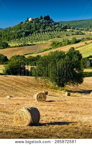 Haycock And Trees In Sunny Tuscan Countryside Near Massa Marittima, Italy