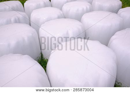 Hay Packed In Polyethylene Pvc Packaging Lies On The Field On Green Grass On A Sunny Summer Day.