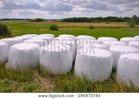 Hay Packed In Polyethylene Pvc Packaging Lies On The Field On Green Grass On A Sunny Summer Day.