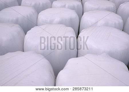 Hay Packed In Polyethylene Pvc Packaging Lies On The Field On Green Grass On A Sunny Summer Day.