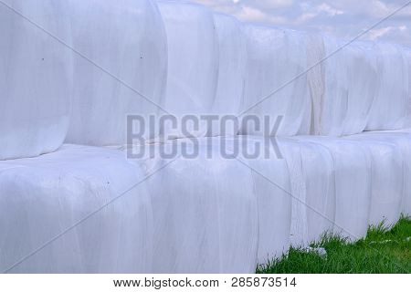 Hay Packed In Polyethylene Pvc Packaging Lies On The Field On Green Grass On A Sunny Summer Day.