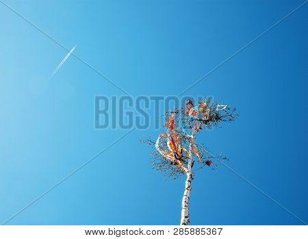 Looking Up At May Pole And Aircraft On Blue Sky. European Traditions. Teal And Orange Photo Filter.