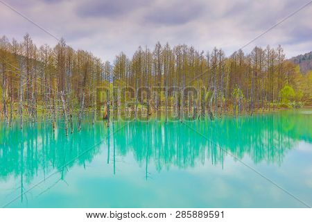 Blue Pond Aoiike ,biei Hokkaido Japan